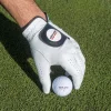 Kirkland Signature Golf Glove Premium Cabretta Leather 4 Pack - Image 5