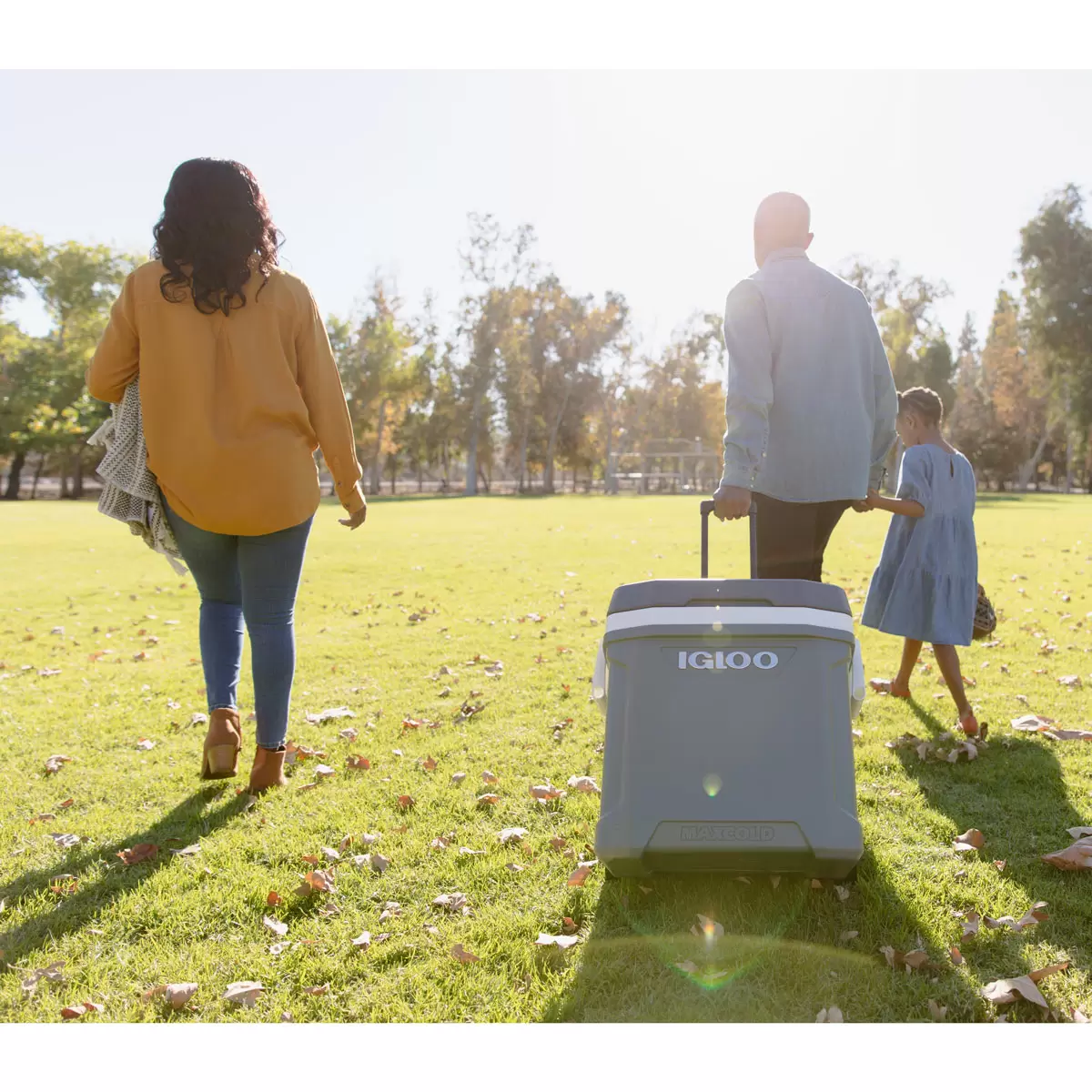 Igloo Max Cold 58 Litre Cool Box - Image 2