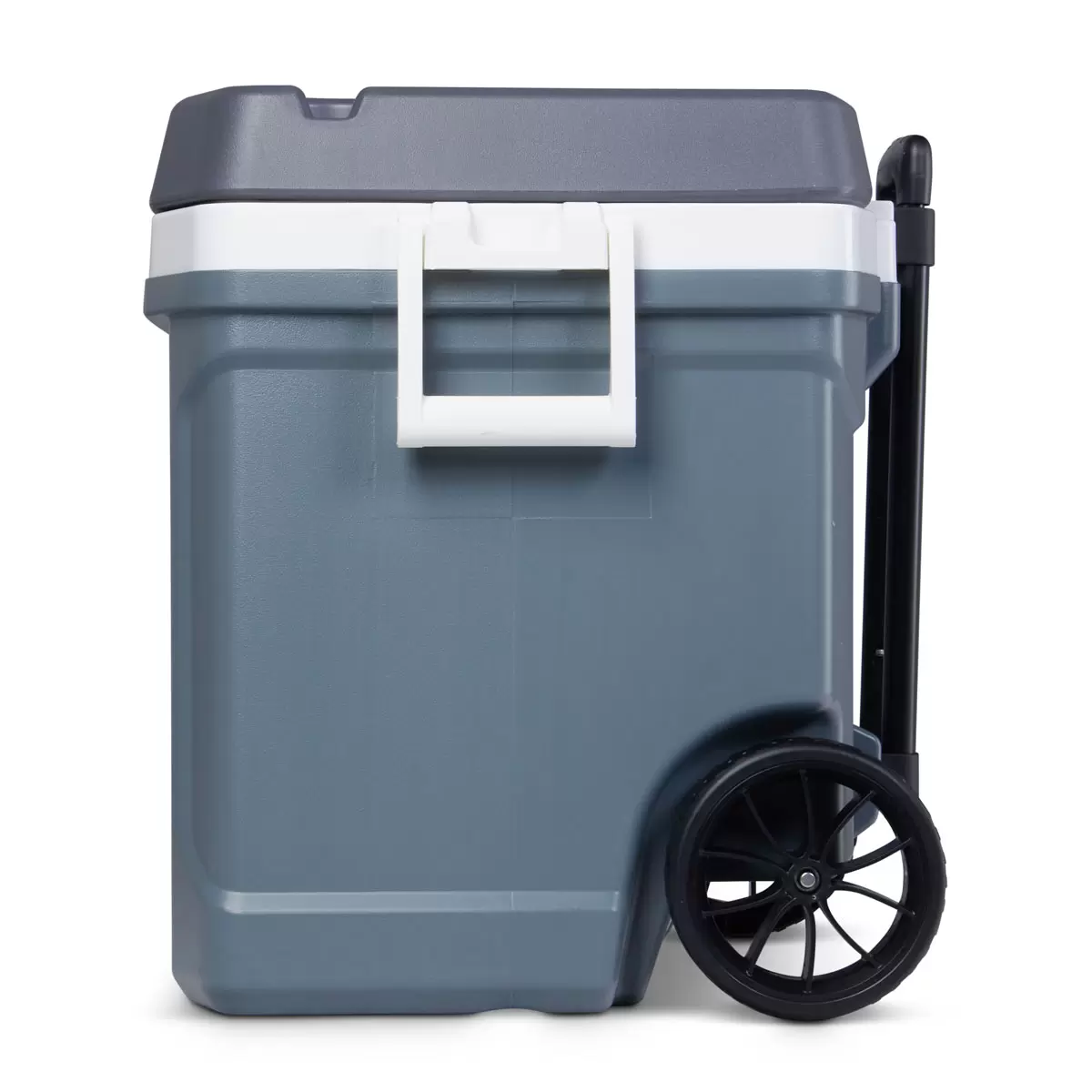Igloo Max Cold 58 Litre Cool Box - Image 3
