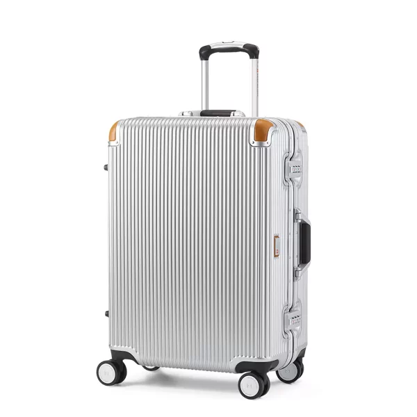 Swiss Military 60cm Medium Hardside Case in Silver