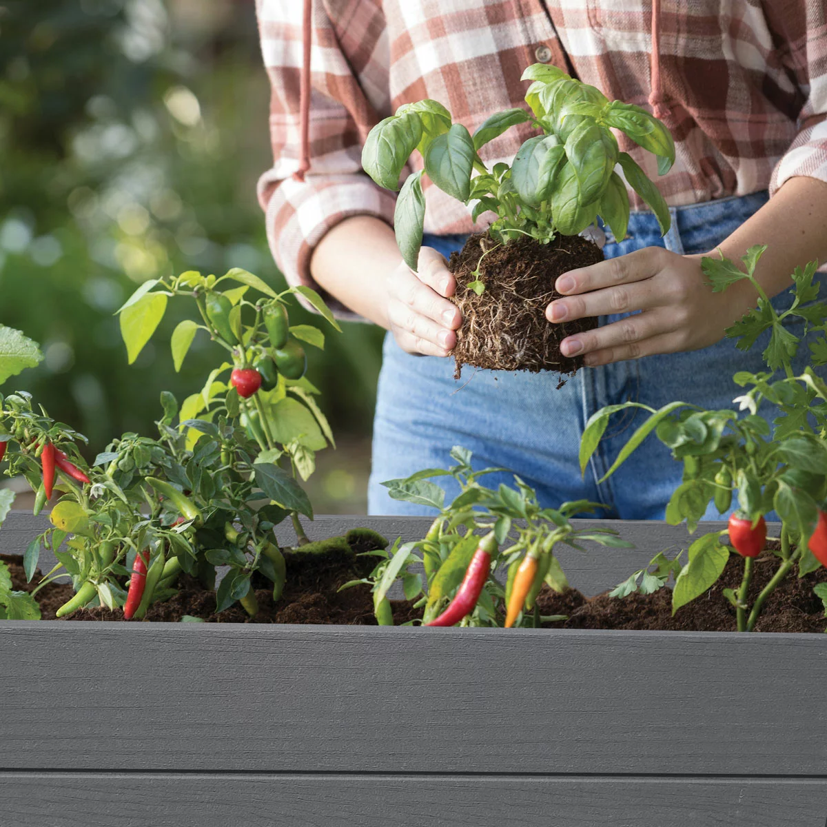 Keter Cortina Raised Garden Bed with Self-Watering System - Image 4