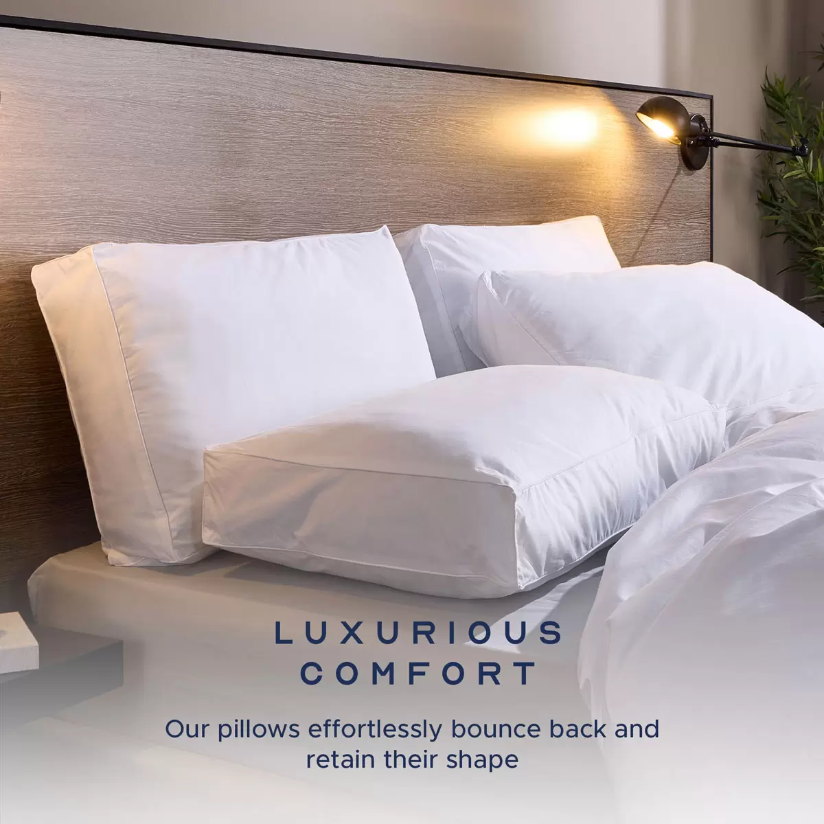 Snuggledown Luxury Side Sleeper Pillow 2 Pack - Image 3